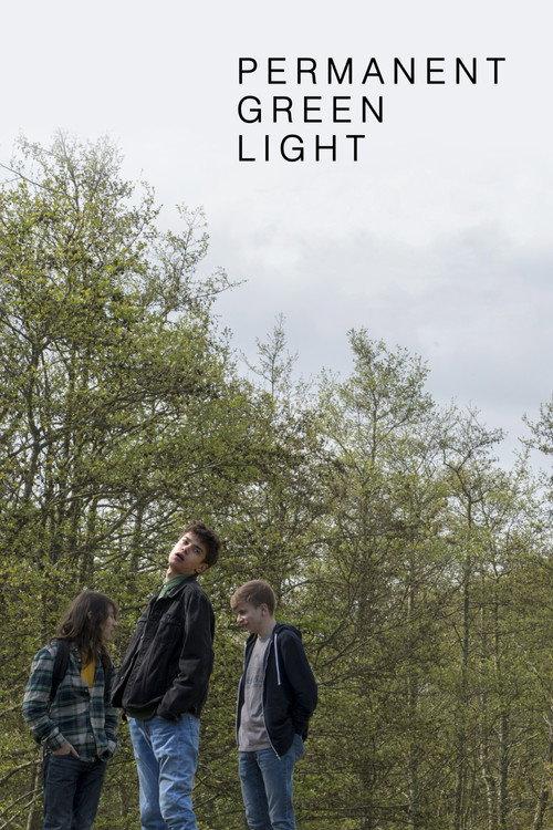 Permanent Green Light 2019 official movie poster