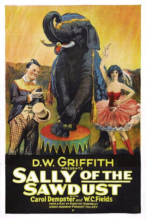 Sally of the Sawdust 1925 official movie poster