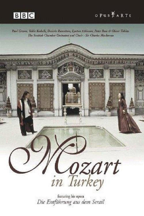 Mozart in Turkey 2000 official movie poster