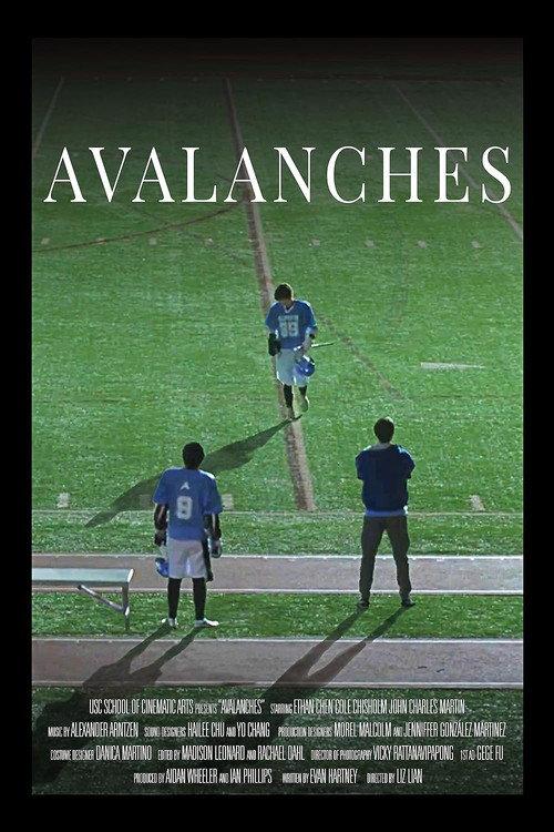 Avalanches 2022 official movie poster