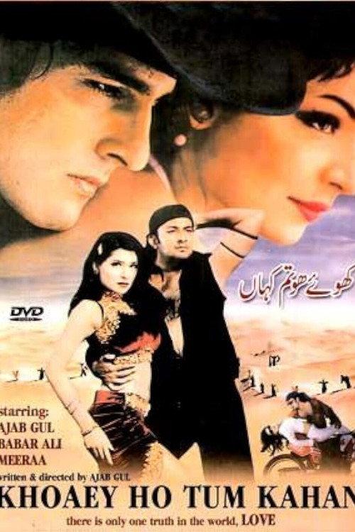 Khoey Ho Tum Kahan 2001 official movie poster