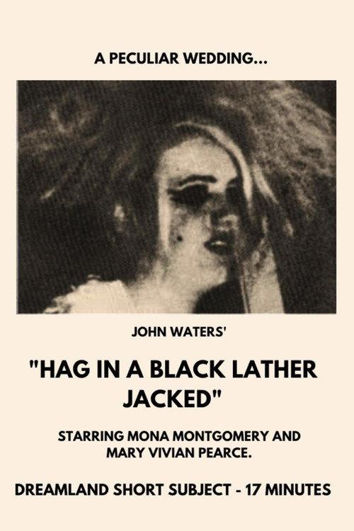 Hag in a Black Leather Jacket 1964 official movie poster