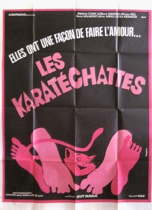 Les pornochattes 1975 official movie poster