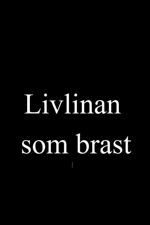 Estonia - Livlinan som brast 2002 official movie poster