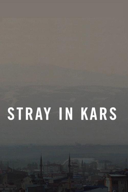 Stray in Kars 2022 official movie poster