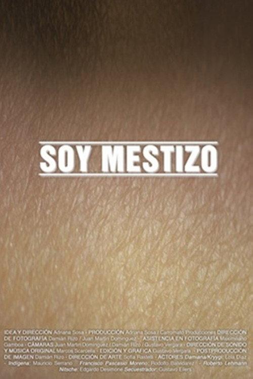 Soy mestizo 2015 official movie poster