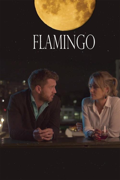 Flamingo 2020 official movie poster