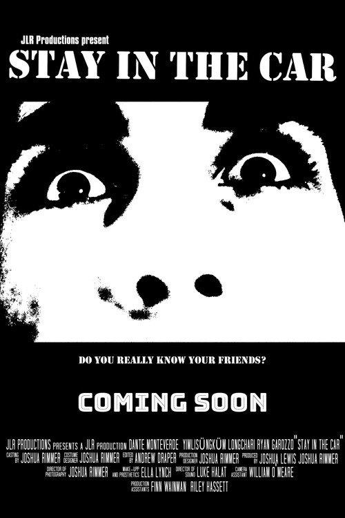 Stay in the Car 2024 official movie poster