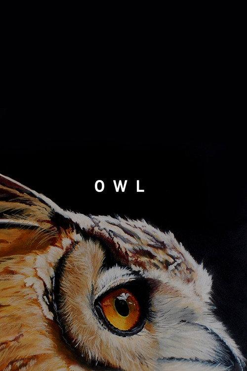 Owl 2019 official movie poster