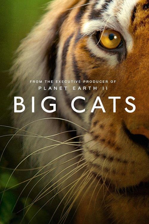 Big Cats 2019 official movie poster