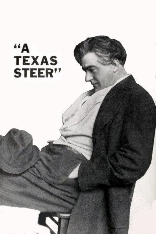 A Texas Steer 1915 official movie poster
