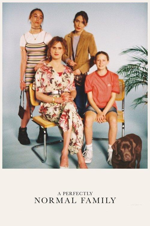 A Perfectly Normal Family 2020 official movie poster