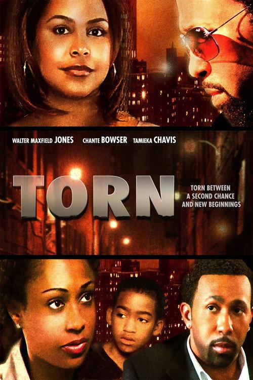 Torn 2010 official movie poster