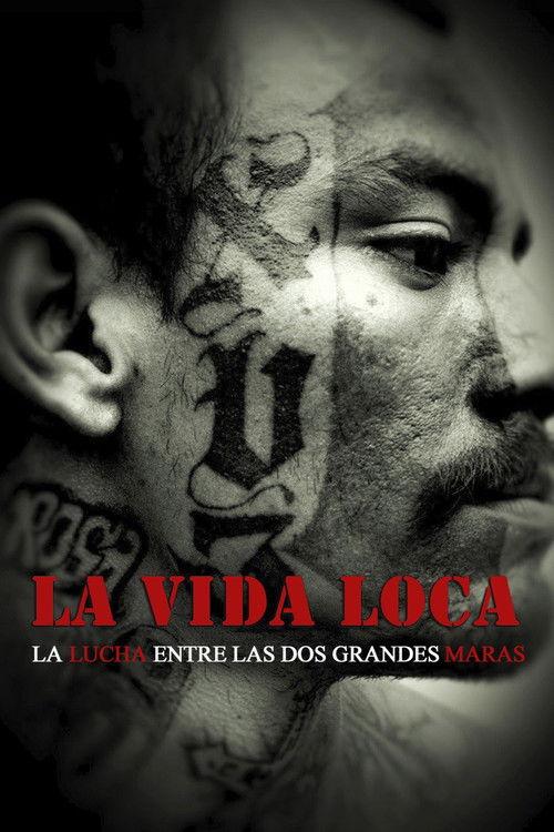 The Crazy Life 2008 official movie poster