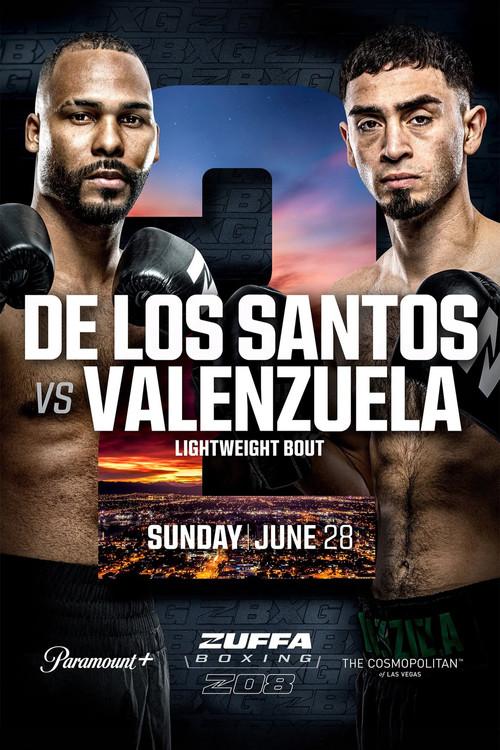 Zuffa Boxing 08 2026 official movie poster