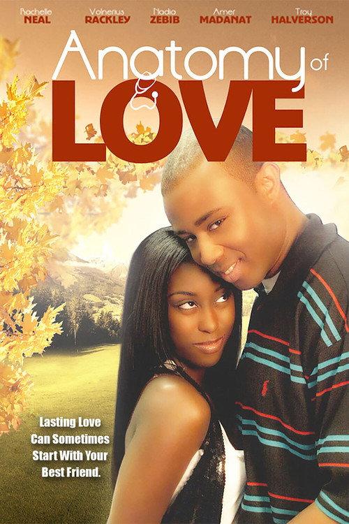 Anatomy of Love 2010 official movie poster