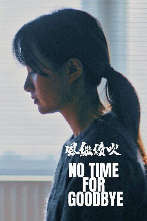No Time For Goodbye 2025 official movie poster