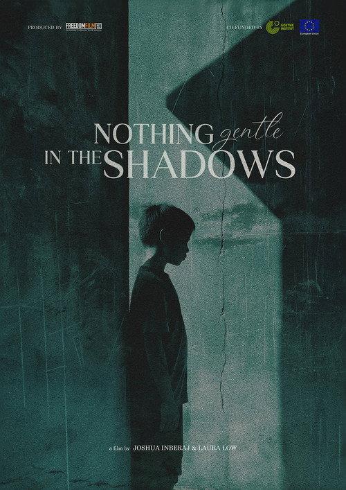 Nothing Gentle in the Shadows 2024 official movie poster