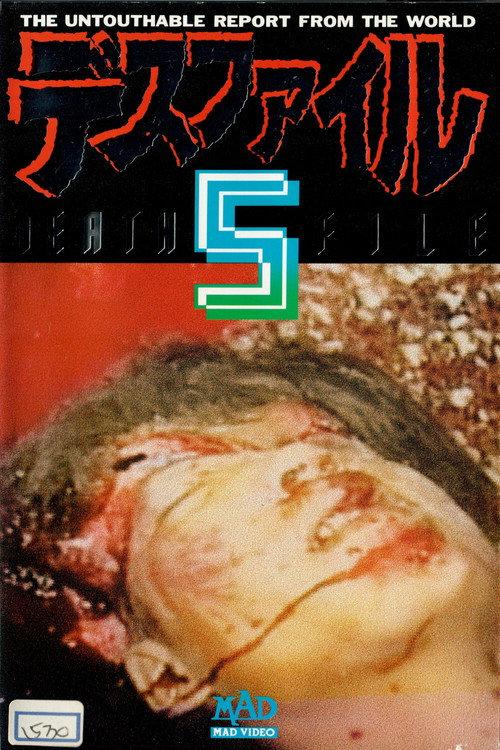 Death File 5 1991 official movie poster