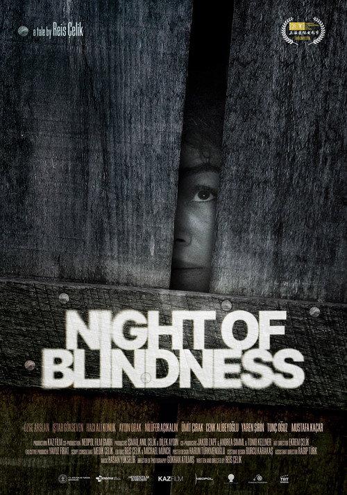 Night of Blindness 2026 official movie poster