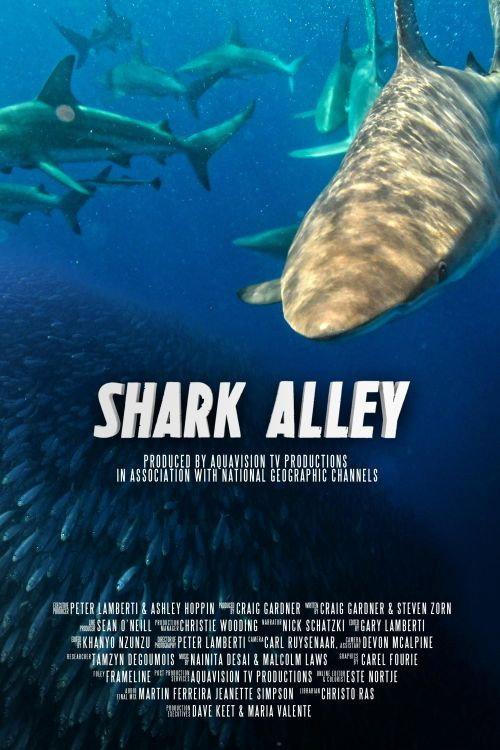 Shark Alley 2015 official movie poster