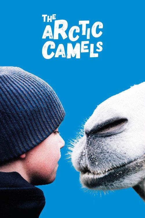 The Arctic Camels 2019 official movie poster