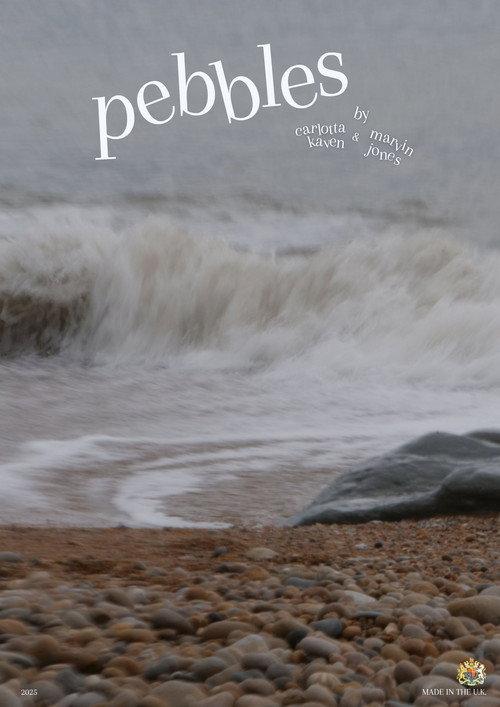 PEBBLES 2027 official movie poster