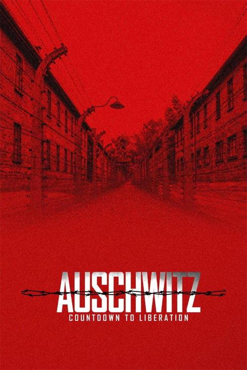 Auschwitz: Countdown to Liberation 2025 official movie poster