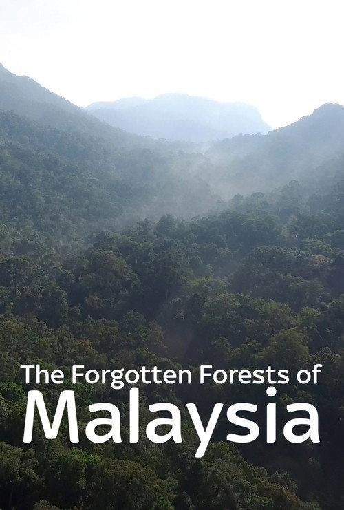 The Forgotten Forests of Malaysia 2018 official movie poster
