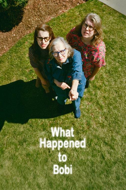 What Happened to Bobi 2025 official movie poster