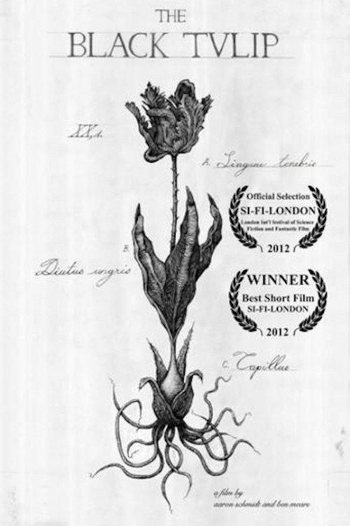 The Black Tulip 2013 official movie poster