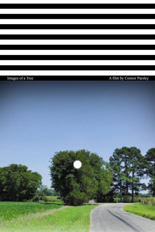 Images of a Tree 2025 official movie poster