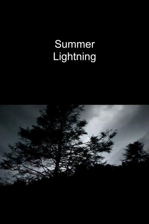 Summer Lightning 2022 official movie poster