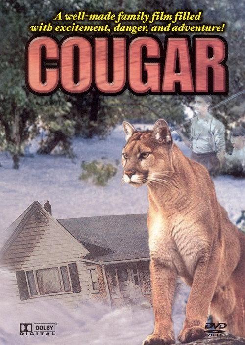 Cougar 1984 official movie poster