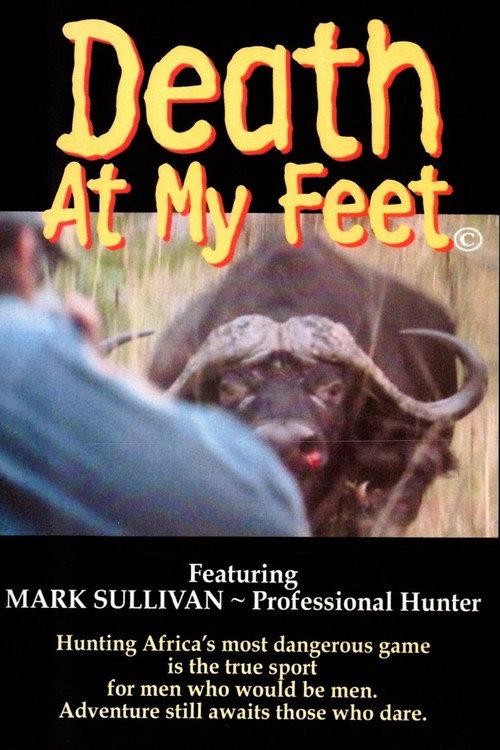 Death at my feet 2000 official movie poster