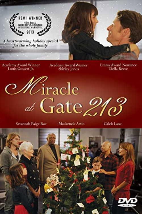 Miracle at Gate 213 2013 official movie poster