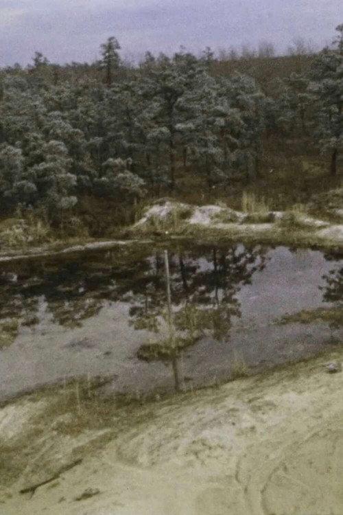 Pine Barrens 1975 official movie poster