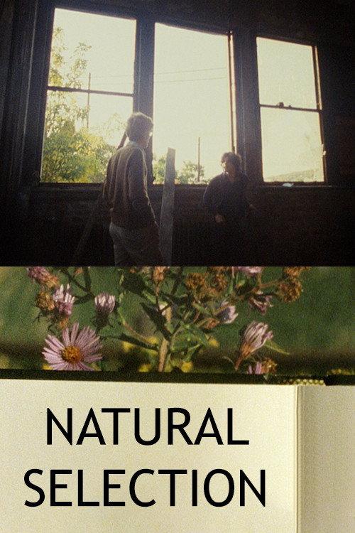 Natural Selection 1983 official movie poster