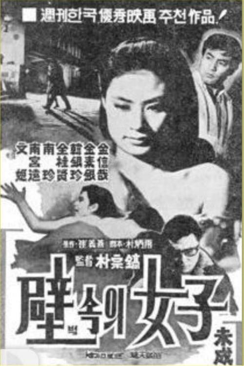 A Woman in the Wall 1969 official movie poster
