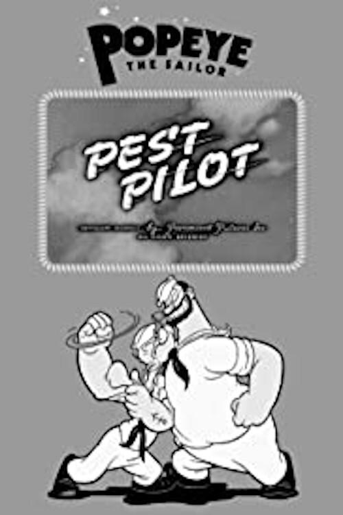 Pest Pilot 1941 official movie poster