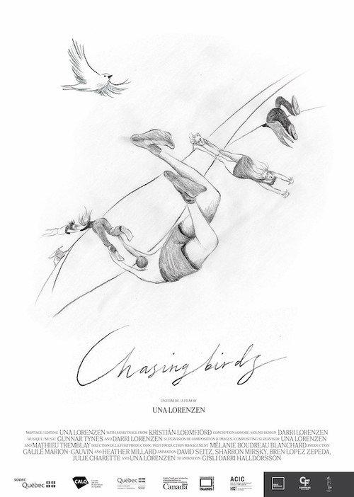 Chasing Birds 2022 official movie poster