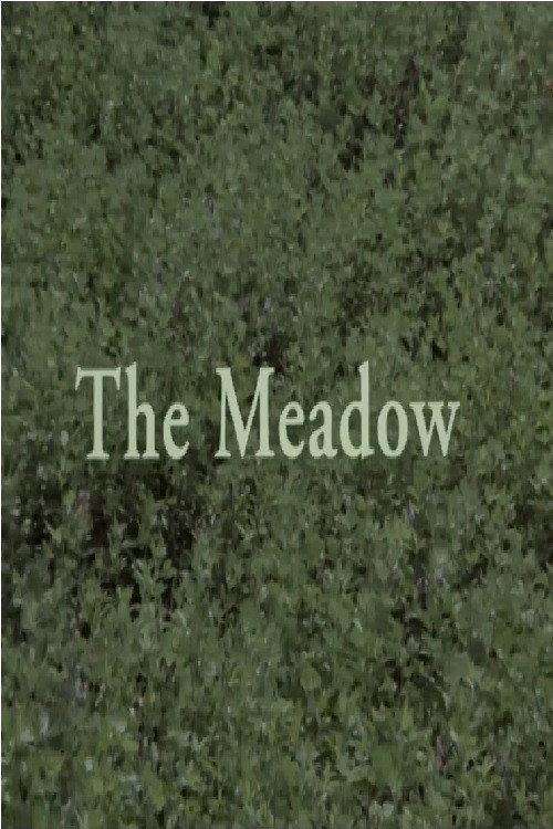 The Meadow 1998 official movie poster