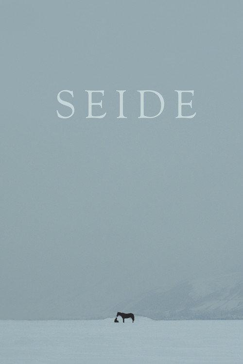 Seide 2015 official movie poster