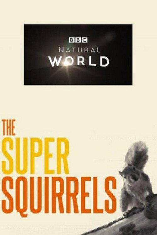The Super Squirrels 2018 official movie poster
