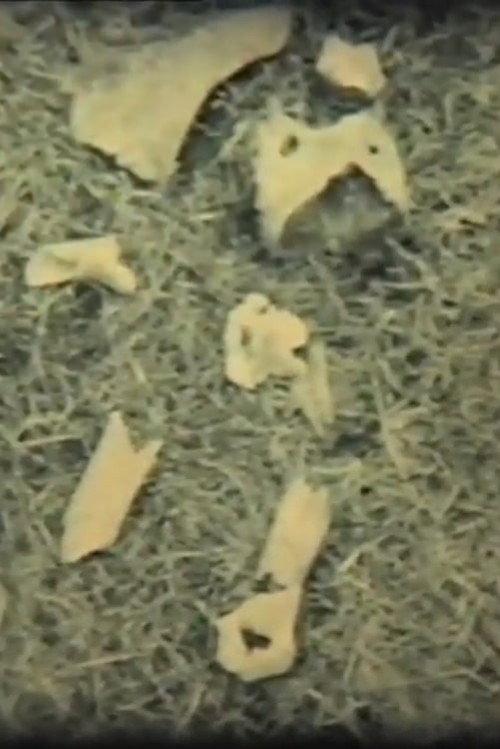 Crown 1993 official movie poster