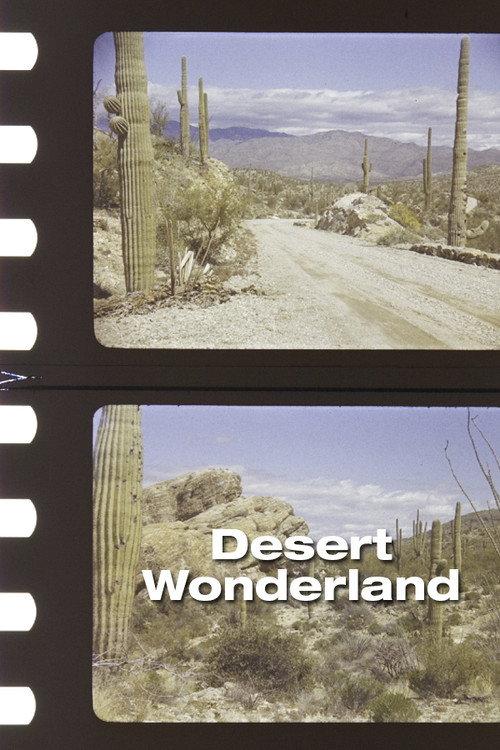 Desert Wonderland 1942 official movie poster