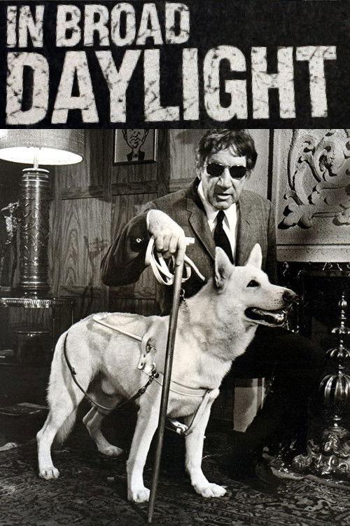 In Broad Daylight 1971 official movie poster