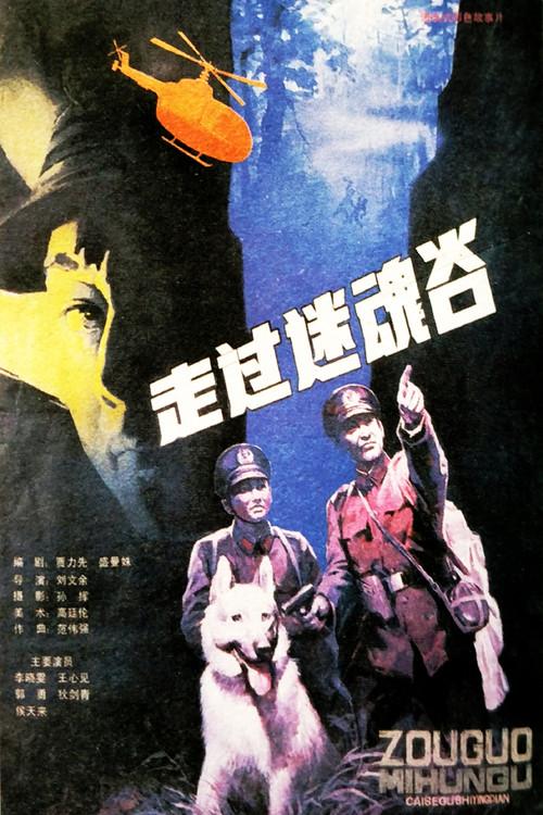 Go Through A Magic Valley 1987 official movie poster