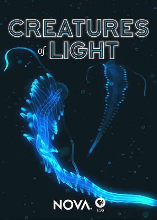 Creatures of Light 2015 official movie poster