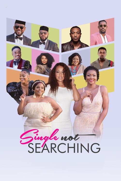 Single Not Searching 2022 official movie poster